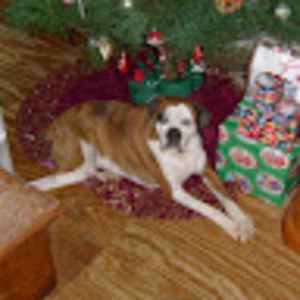 Meet your Posher, Debra